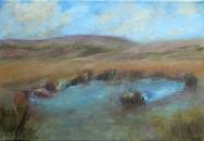 Blue Pool, Dartmoor by Jenni Evans 