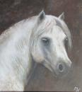 Dartmoor Pony by Margaret Hannah