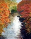 River Dart From Holne Bridge - Mike Bonney