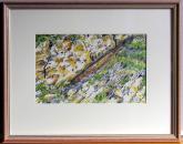 Rock Pool, Cornwall by Lyn Stocks 